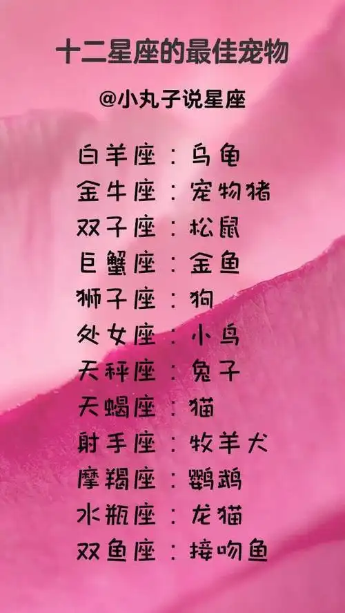 十二星座专属宠物白羊座最适合养比熊企