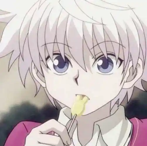 全职猎人最简单的猎人考试却只有奇犽一个人合格