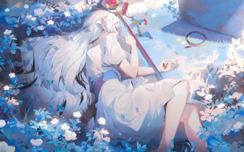 wallpaper | 今日壁纸分享