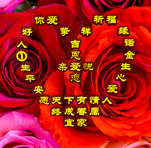 今日首发,愿天下有情人终成眷属,爱缘,祝福表情包图集收藏版