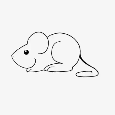 老鼠是怎么画的简笔画小老鼠简笔画图片大全2022鼠的简笔画鼠年老鼠简