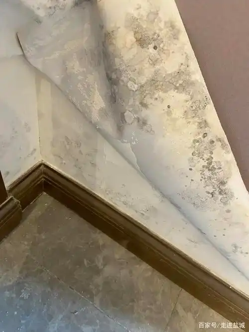 盐城恒大帝景的精装修,墙体返碱墙布发霉!