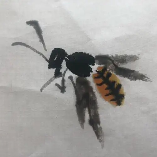 杨秀华国画网络课第十一节《蜜蜂的画法》