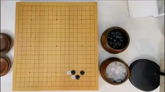 压虎定式后续下法