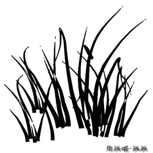 黑白简笔画草丛