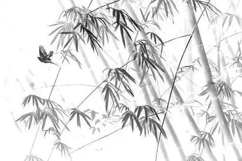 手绘竹林简笔画