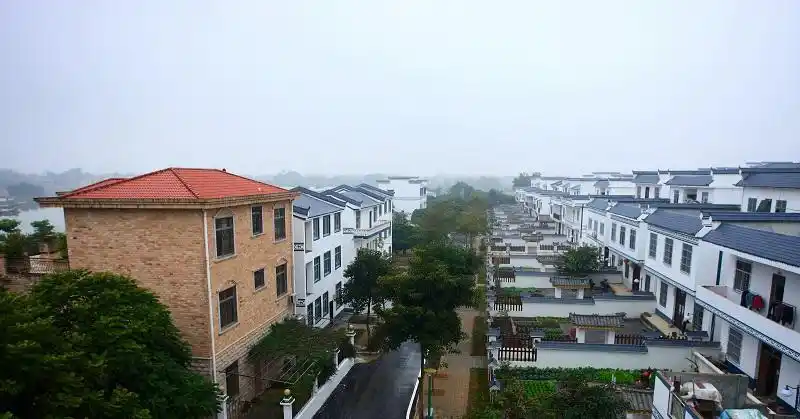 政务信息_南宁市农业农村局