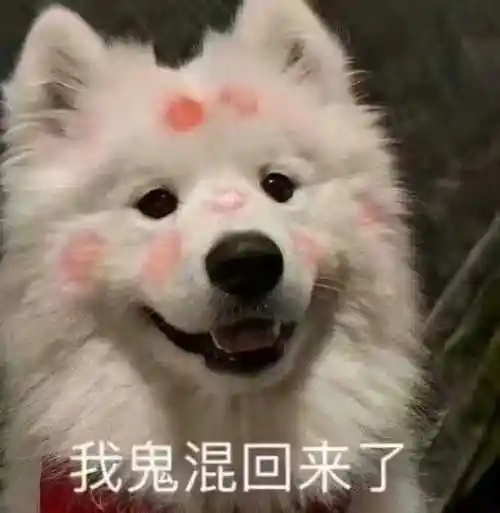 好想找对象丨搞笑文案丨有趣的灵魂,请了解一下