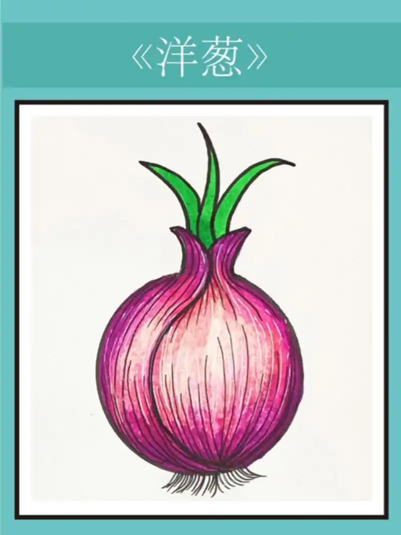 洋葱简笔画教程来咯