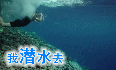潜水的动图文字表情包第一弹