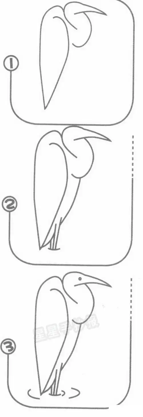 白鹭简笔画图片画法