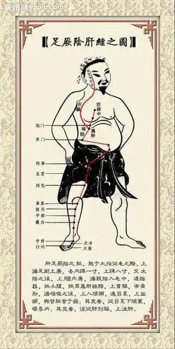 《从肝经循行谈"肝"病》