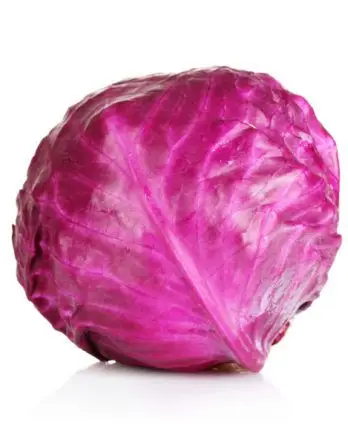 cabbage (red cabbage ) – nassau grocery