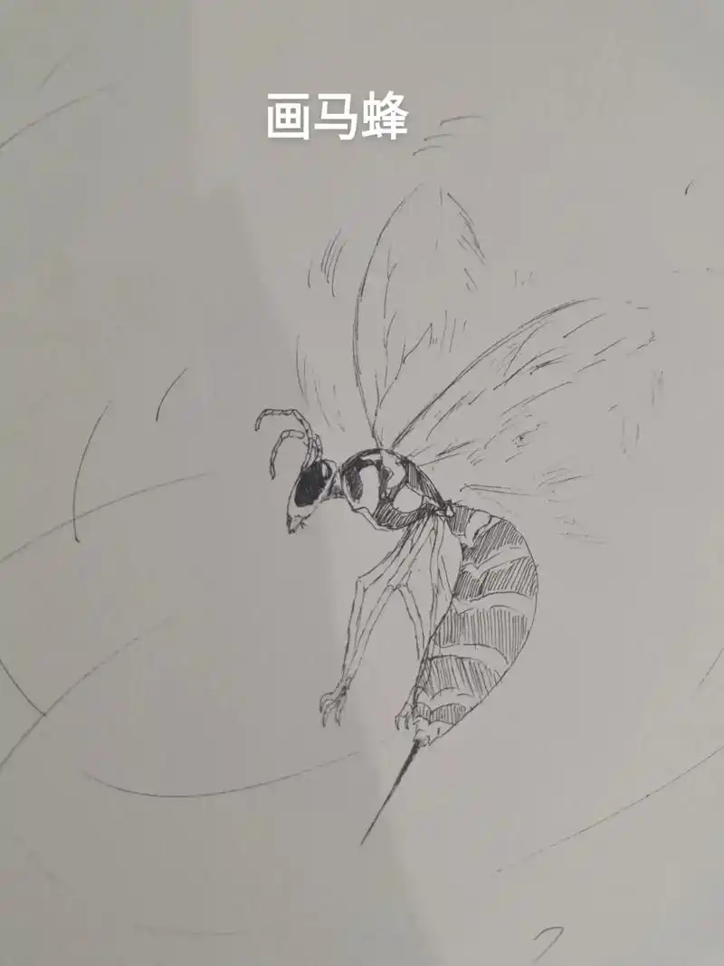 马蜂# #手绘 #简笔画 - 抖音