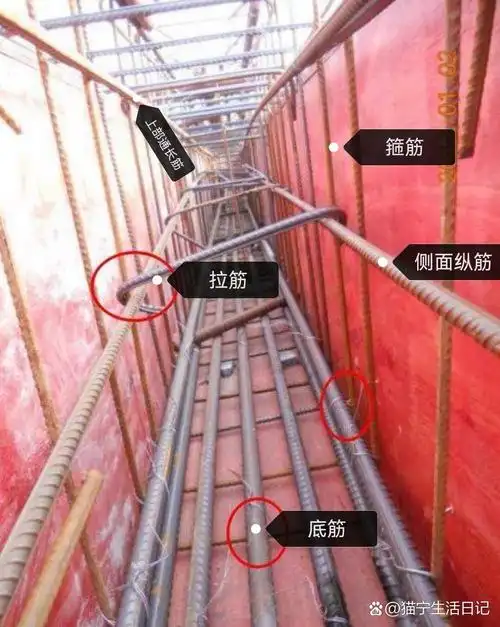 三维图示 现场施工图片教你认识上部通长筋,支座负筋,底筋,侧面纵筋