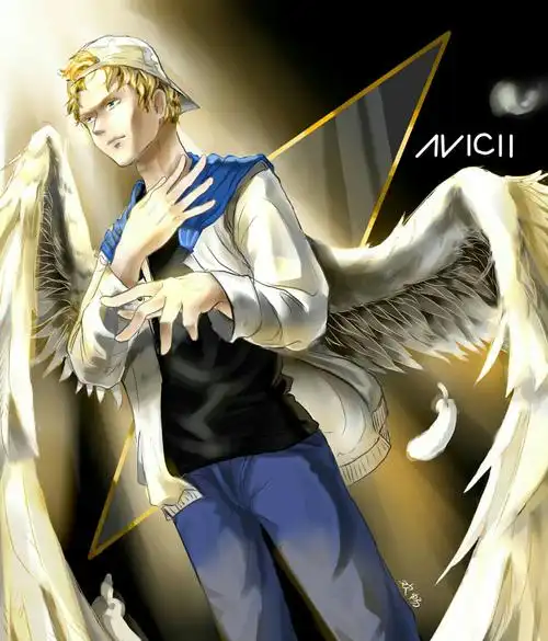 有人想说要看avicii.