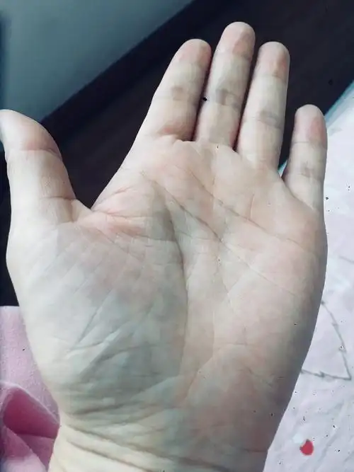 2019-3-4晨间日记