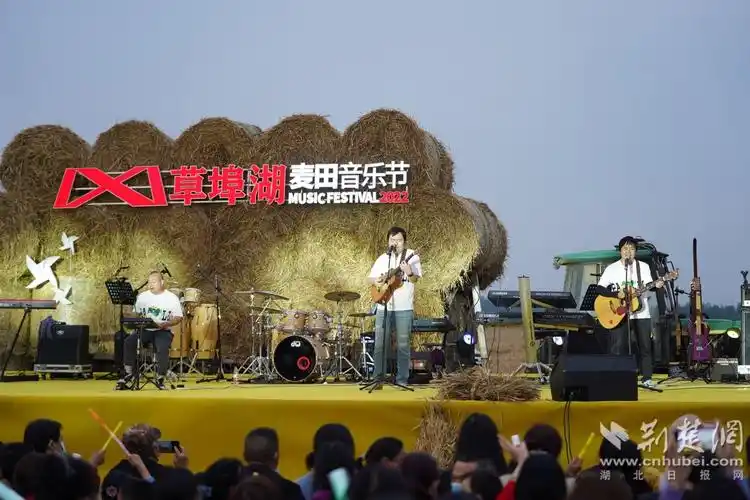当阳草埠湖麦田音乐节奏响农旅融合新乐章