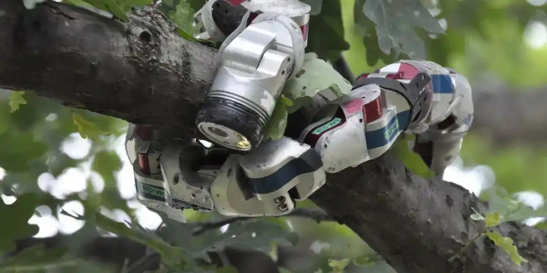 cmu计算机教授造出海上飞蛇蛇状机器人为军舰保驾护航