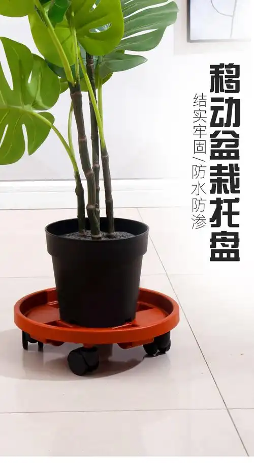 轮子花盆托盘可移动塑料花盆底座接水盘树脂万向轮圆形红色花托