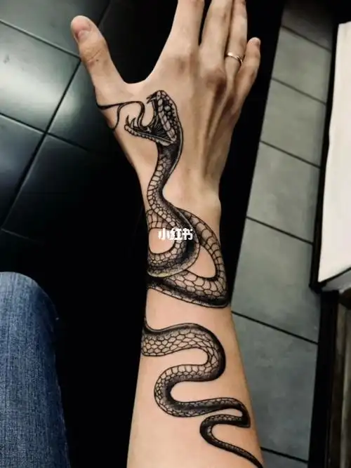 大陆龙蛇起乾坤一少年