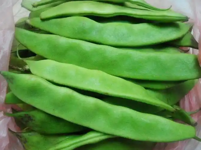 家常辣炒扁豆怎么做