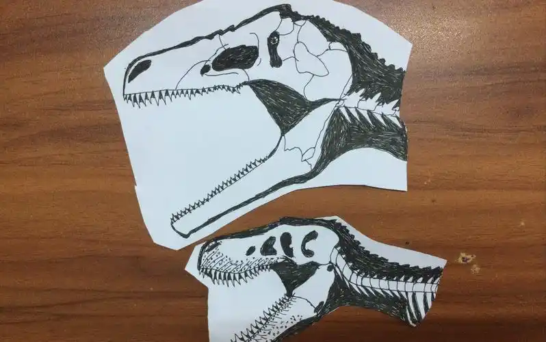 方舟版南方巨兽龙头骨