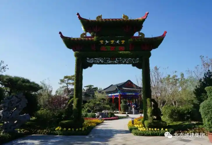 【关注】繁花盛宴美丽绽放新丝路,城建园林"惊艳"第九