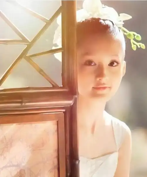 李沁个人资料("笨蛋美人"李沁,曾被骗走全部酬劳) 第6张