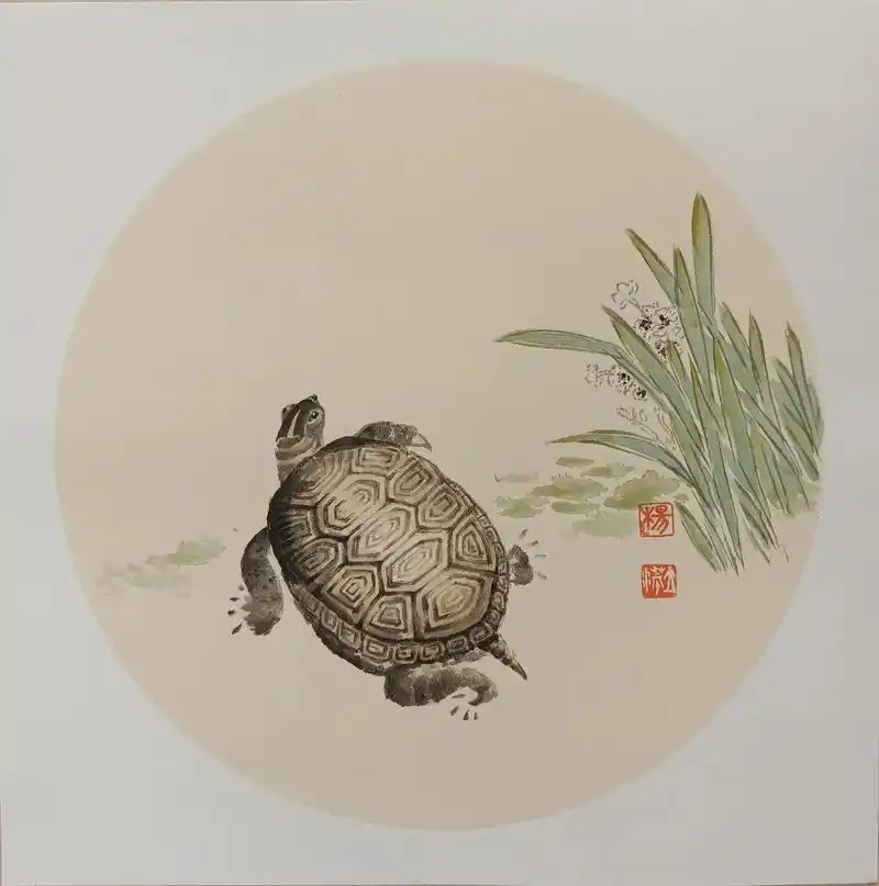 龟寿图 - 杨立萍-国画 - 抖音