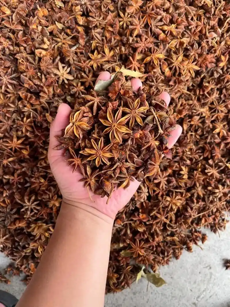 特价9221.5每单斤,大红八角 规格 - 抖音