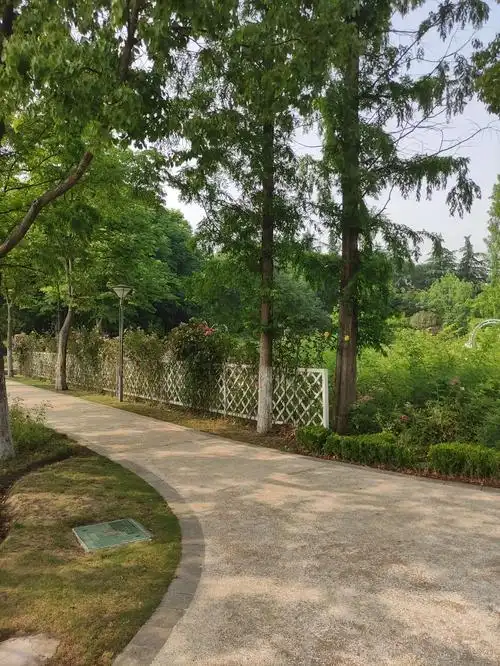 昆山城市生态森林公园