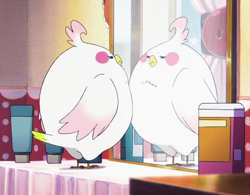 500_390gif 动态图 动图