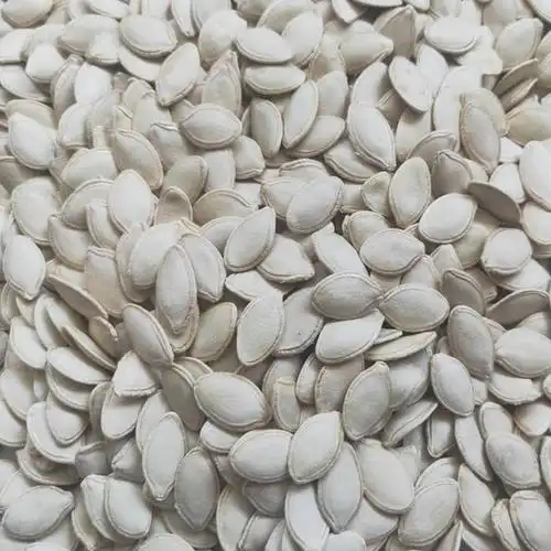 【新旧包装 实发为准】南瓜子新货带壳散装5斤生南白爪子内蒙熟原味