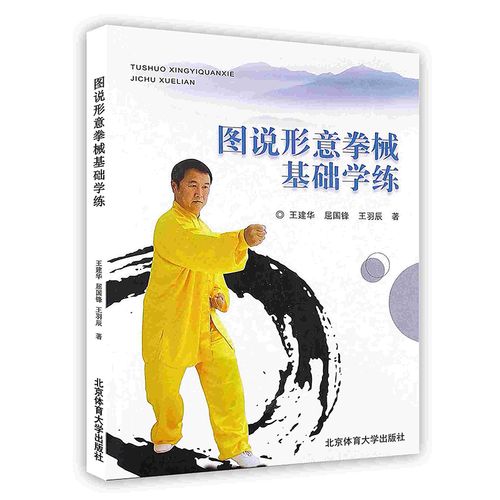 图说形意拳械基础学练经典内家拳形意拳套路指南初学者入门健pod