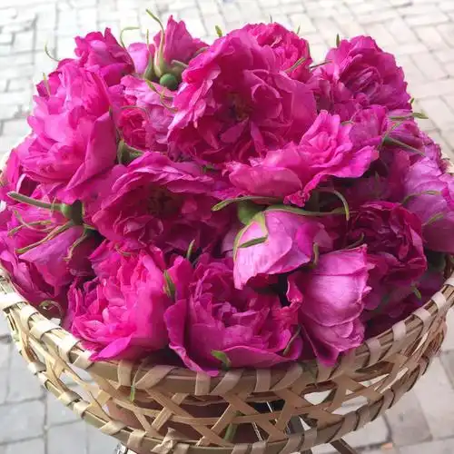 玫瑰花低温冻干玫瑰花重瓣红玫瑰花冠40g一盒基地直销批发