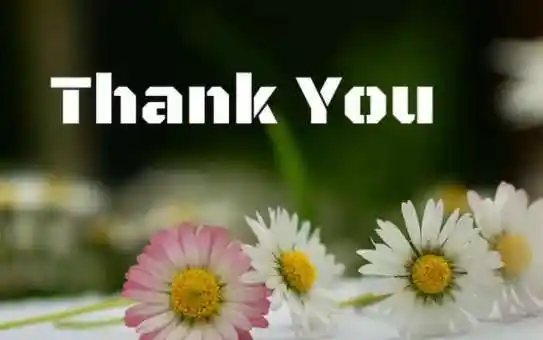 多谢的英文多谢的英文多谢英文