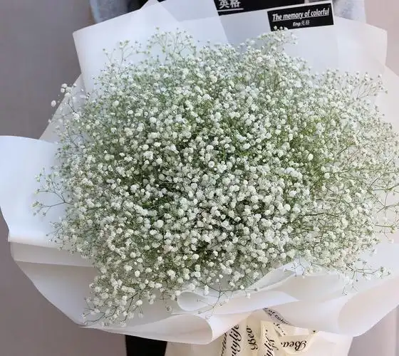 大满天星花束鲜花配送网上订花鲜花速递