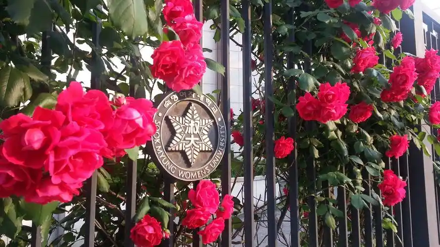 p>淑明女子大学(                     ,sookmyung womens