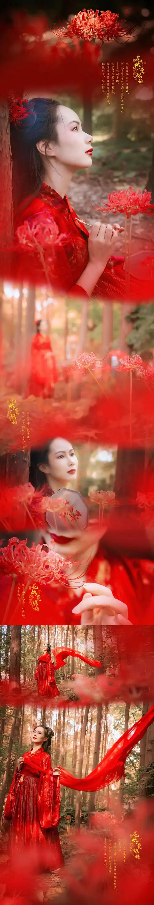 彼岸花鲜红如血.