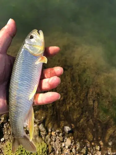 【秋收】天时地利 人品爆发 马口连连-爱卡汽车网论坛