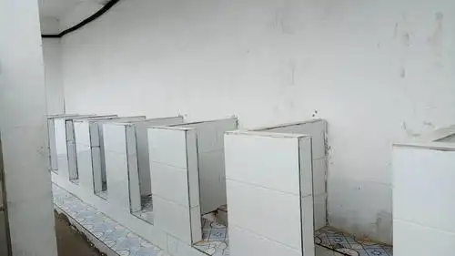 美丽的张大庄小学