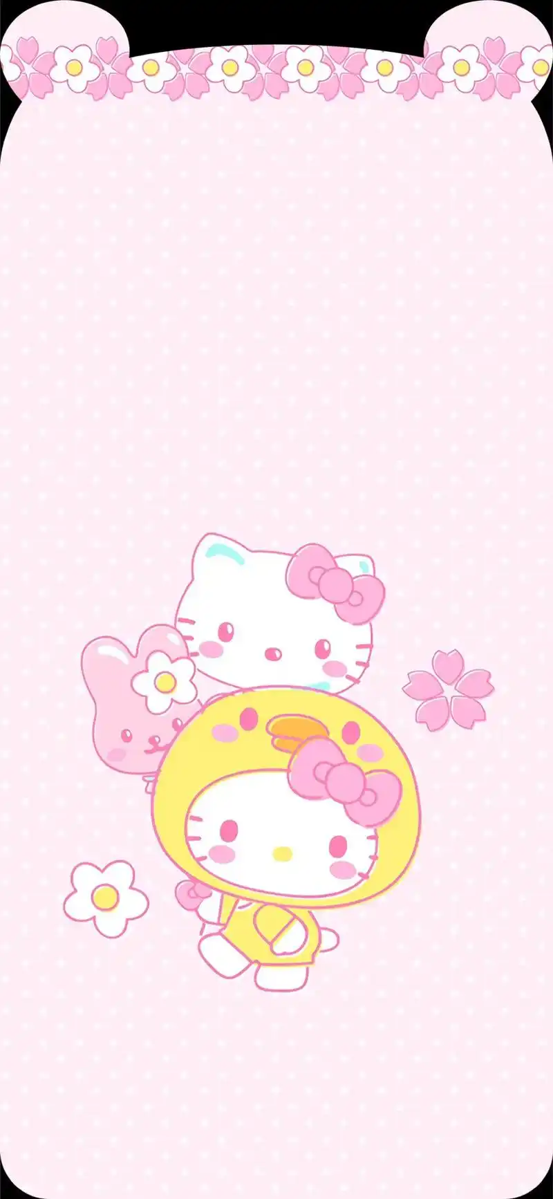 熊耳朵壁纸#暴力熊壁纸 #壁纸动态 #小清新壁纸 - 抖音