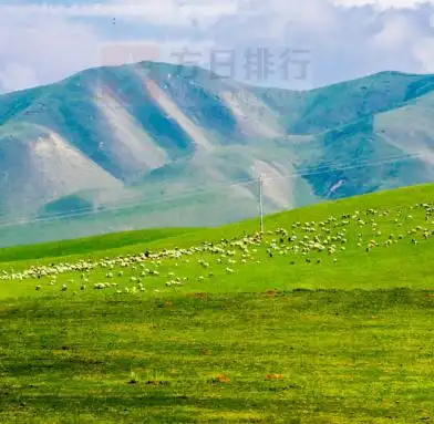 金银滩草原是位于海北藏族自治州海晏县境内的风景名胜,其总占地面积