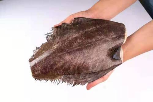 鱼身鲽鱼格陵兰比目鱼身鲽去头去脏新鲜354斤整条鲽鱼