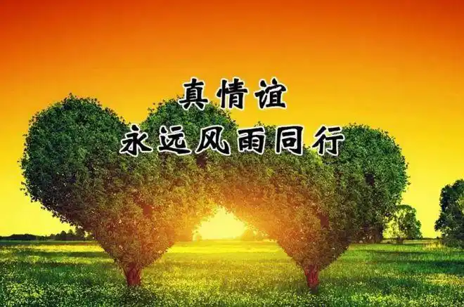 网易首页>网易号>正文申请入驻>人的一生可以错过很多但不要错过真正