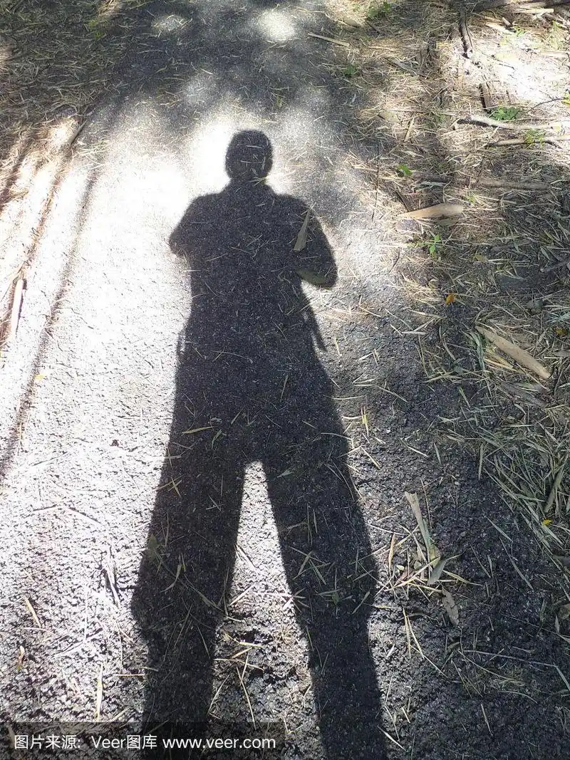 地板上的男人影子