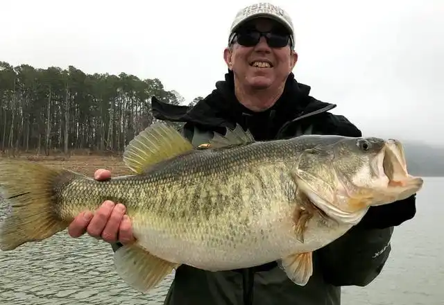 一名美国男子钓获巨型加州鲈鱼