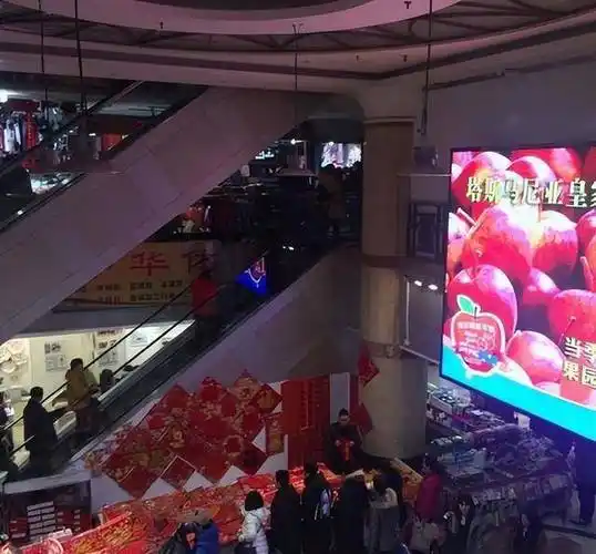 押解到殡仪馆,抬进死刑执行车,行刑过程中神情漠然_父亲_沈阳数_身份