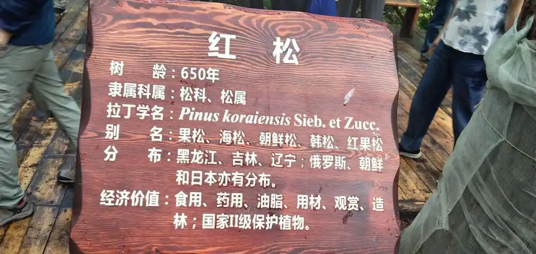 2019(二)北国好风光尽在黑龙江,伊春-森林里的家